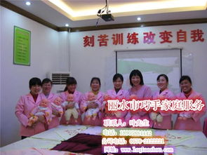 丽水育儿保姆服务 巧手家庭服务 品质 育儿保姆服务培训