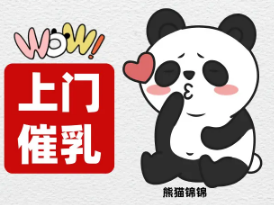 泸州月嫂公司排行榜及选择指南