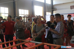 泸州齐家网联合尚瑞门窗举办网友欢乐工厂行，共探家居品质与月嫂服务新体验