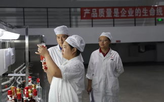 技能竞赛演绎工匠精神，泸州月嫂在实践中飞扬生命力